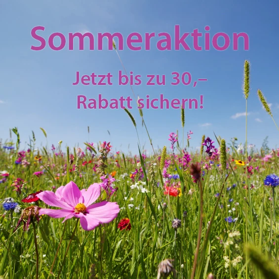K2-Sommeraktion