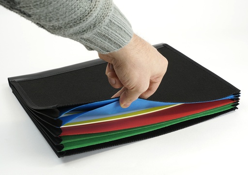 [73011] Fächer-Einsatz