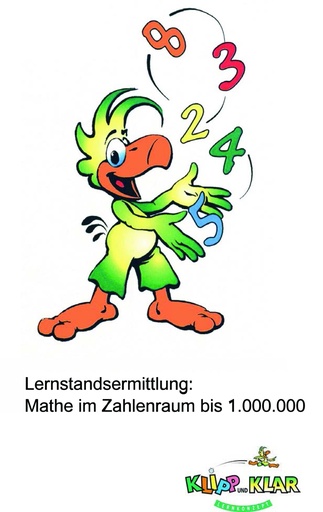 [80230041] Lernstandsermittlung: Mathe bis 1.000.000 PDF