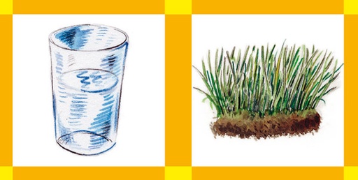 [80331] Minimix 7 - Weitere phonologische Prozesse