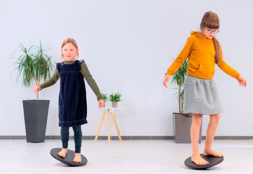 [61734] GymTop MODO - Balancierkreisel