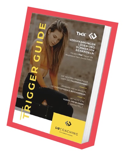 [87943] TRIGGER GUIDE 2.0 E-Book