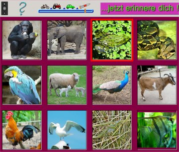 [82261] Merkfähigkeit und Kognition Einzellizenz