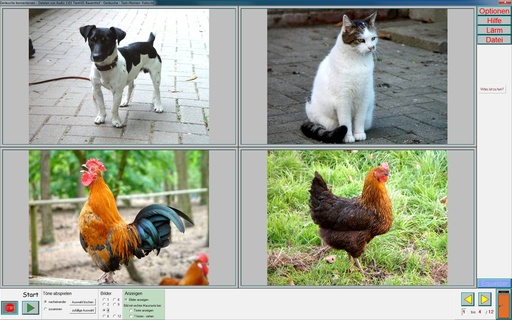 [82212] 6 Programme zur Inklusion Einzellizenz