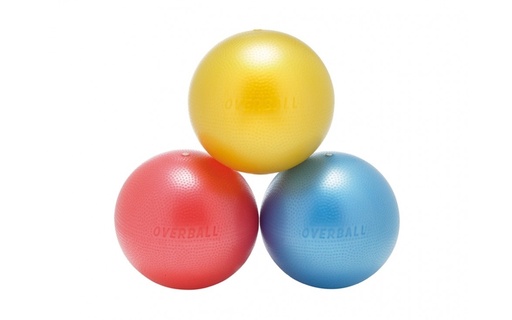 [61659] Softgym Overball